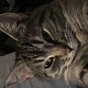 Meet your Posher, Jenn